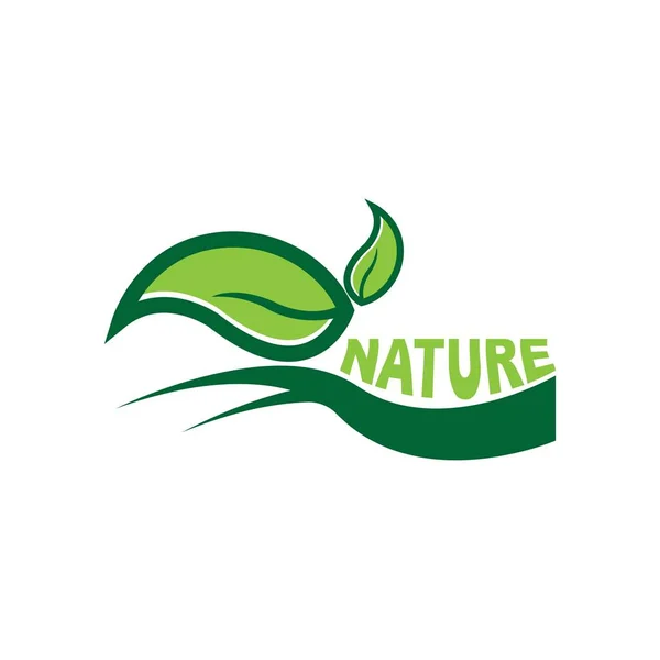 Nature Doodle Organic Leaves Emblems Stickers Frames Vector Logo — Stockvektor
