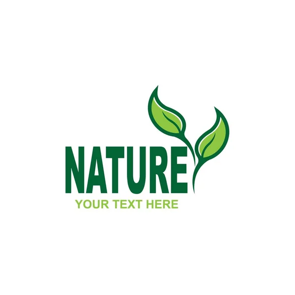 Nature Doodle Organic Leaves Emblems Stickers Frames Vector Logo — Stockvektor