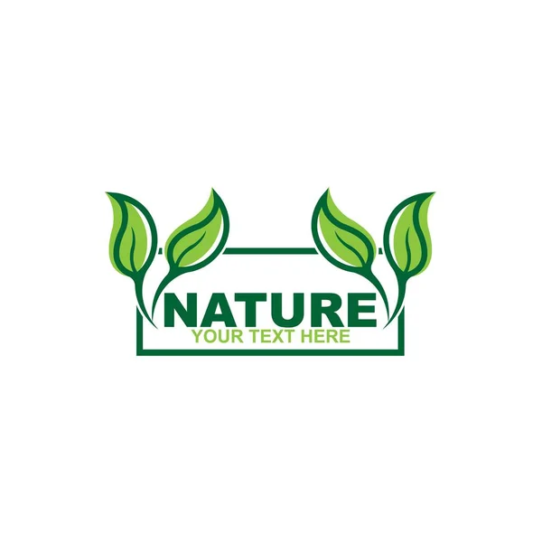 Nature Doodle Organic Leaves Emblems Stickers Frames Vector Logo — Stockvektor