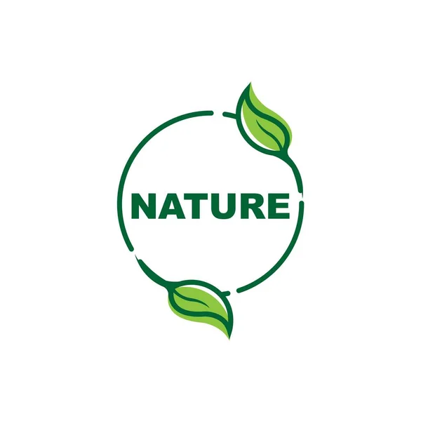 Nature Doodle Organic Leaves Emblems Stickers Frames Vector Logo — Stok Vektör