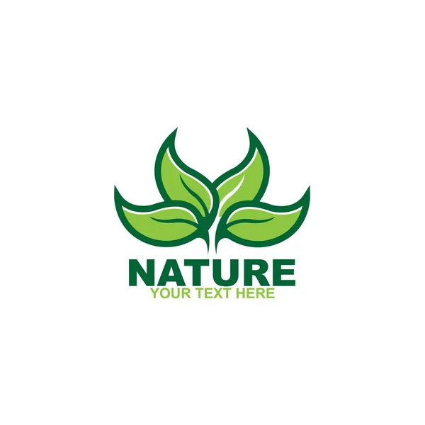 Nature Doodle Organic Leaves Emblems Stickers Frames Vector Logo — 스톡 벡터