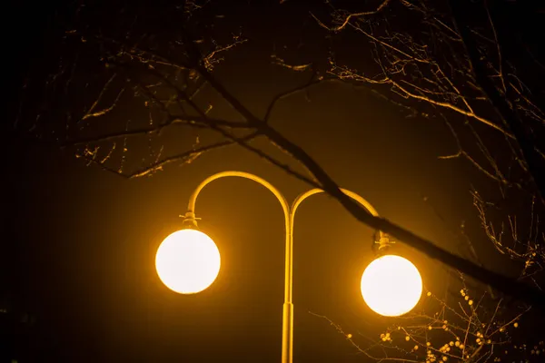 Уличная Лампа Вечером — стоковое фото