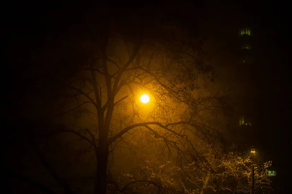 Foggy Evening Light Street Lamps — Stock Photo, Image