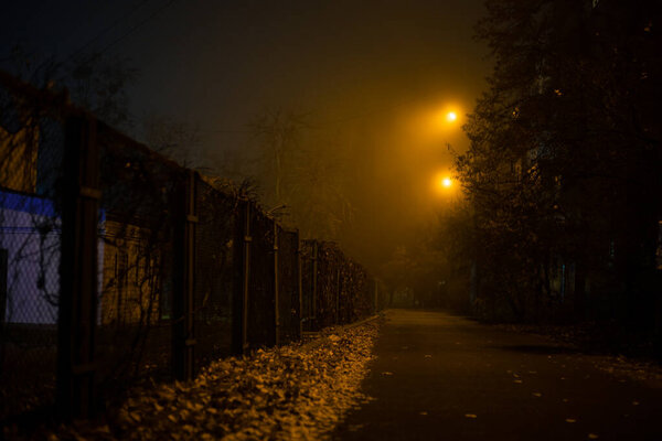 Туманный вечер в свете уличных фонарей