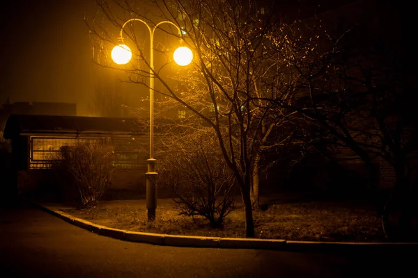 Ködös Este Utcai Lámpák Fényében — Stock Fotó