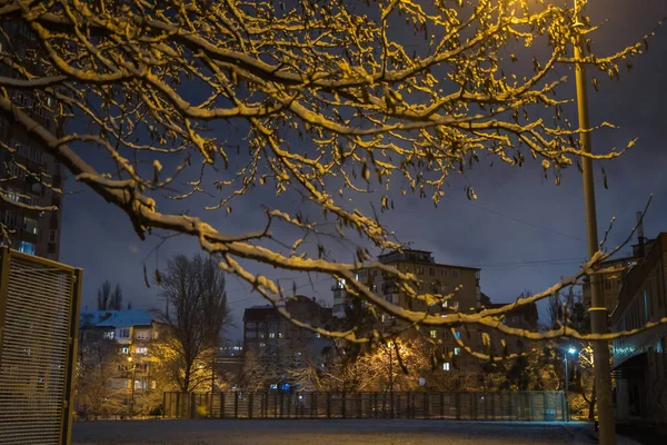 Noite Inverno Luz Das Lâmpadas Rua — Fotografia de Stock