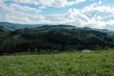 Yaz dağlarında yeşilin gölgeleri