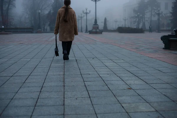 Foggy Weather Park Girl Walks Road Paving Stones — Stock Photo, Image