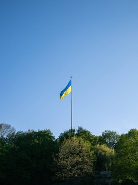 Ukrayna bayrağı açık bir gökyüzüne karşı ağaç tepelerinin üzerinde yükseliyor