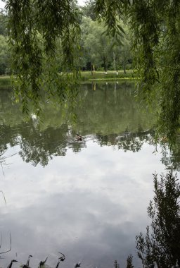 Suda yansımaları olan bir göletin manzarası.