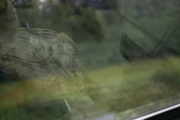 Reflections in the train window