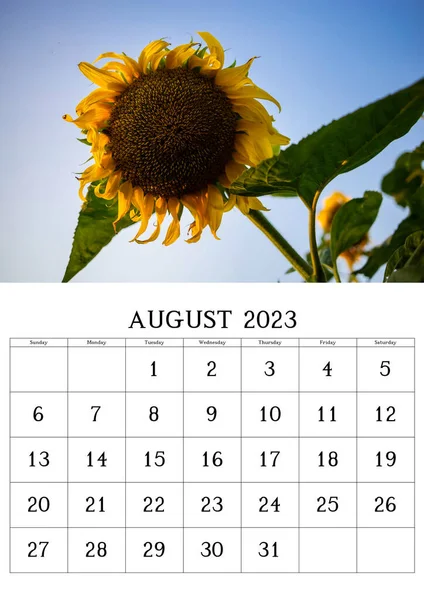 Calendar Nature Shot August 2023 — Stockfoto