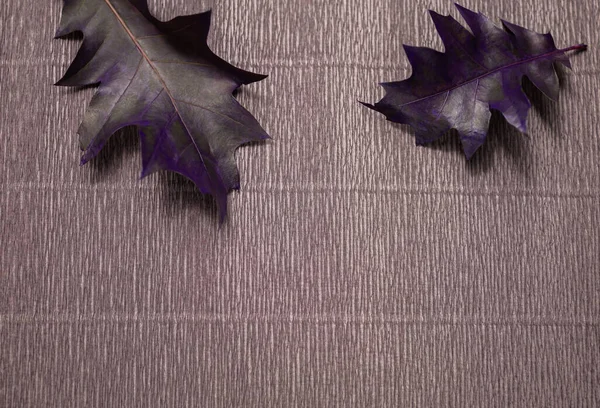 Koyu mor yapraklı desenli arkaplan