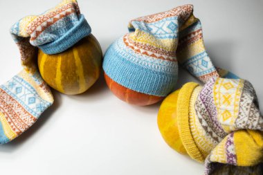 Balkabaklarının üzerindeki sıcak yün çoraplar şapka gibi