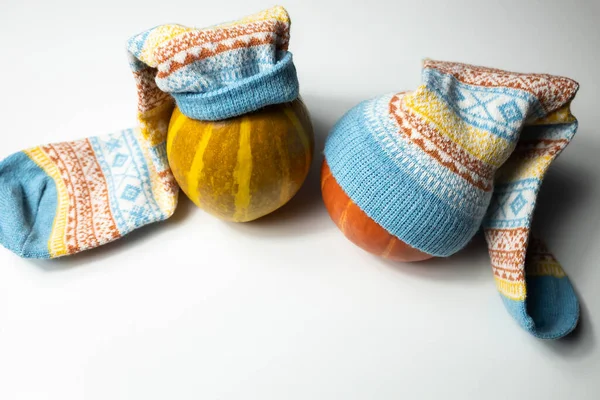 Balkabaklarının üzerindeki sıcak yün çoraplar şapka gibi