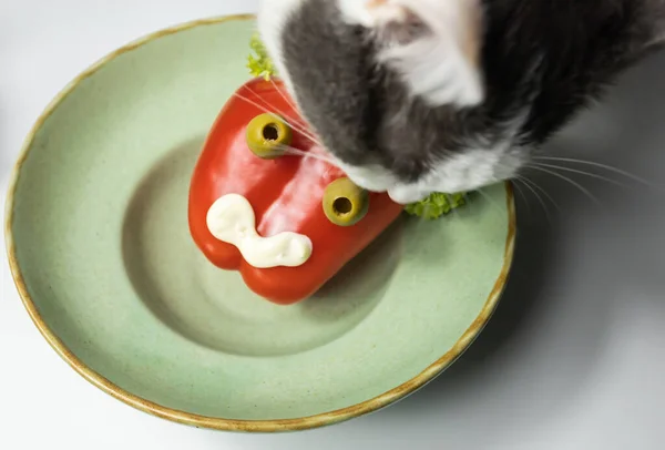 İlginç bir biber dekoru. Kedi biberli zeytin yemek istiyor.
