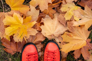 Sonbahar düşmüş akçaağaç yaprakları yerde ve kırmızı çizmeler