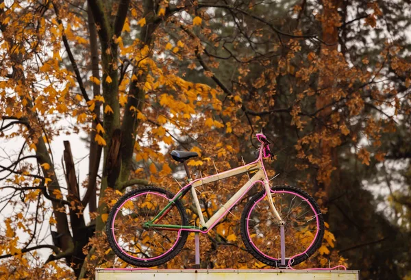 Una Bicicleta Con Iluminación Techo Tienda — Foto de Stock
