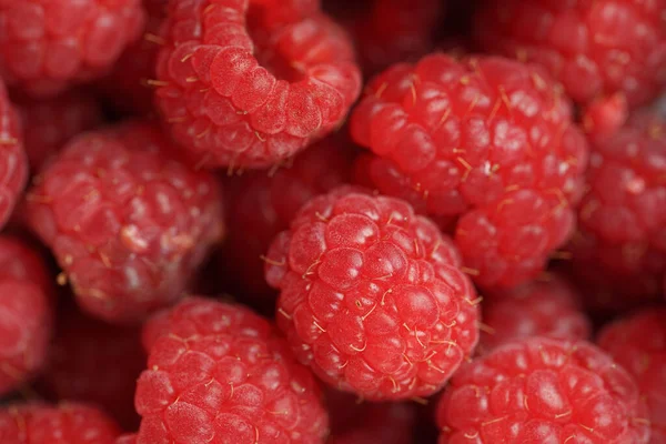 Many Fresh Raw Raspberries Filling Frame Macro Stock Photo