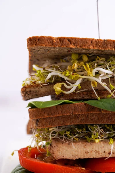 Νόστιμα Vegan Σάντουιτς Ολόκληρο Καφέ Πρωτεϊνούχο Ψωμί Τυρί Τόφου Ντομάτα — Φωτογραφία Αρχείου