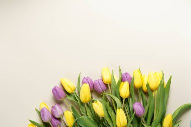 Bir grup sarı ve mor lale bej renkli arka planda, metin için alanı kopyala