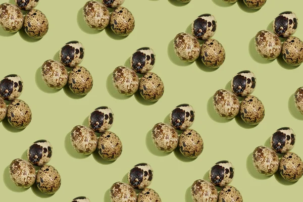 Hard Light Pattern Small Spotted Quail Eggs Pastel Green Background — Stock Photo, Image