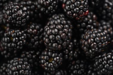 a heap of fresh ripe blackberries in a black plate