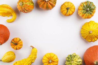 Cadılar Bayramı balkabaklarının yaratıcı düz kompozisyonu ve beyaz arkaplanda kopya alanı