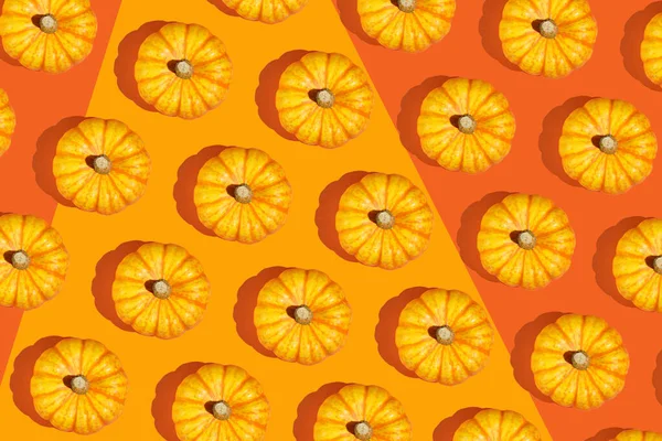 오렌지색 기하학적 꽃이삭의 보이는 — 스톡 사진