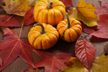 Ahşap zemin üzerinde üç farklı boyutta turuncu ve sarı balkabağı var. Düşen sarı ve kırmızı ağaç yaprakları, sonbahar ayarı.