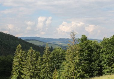 Yazın Karpatlar 'da dağ manzarası