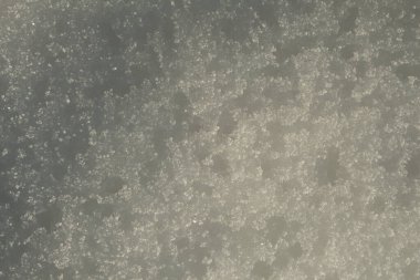 Kış mevsiminde kar yağışı dokusu