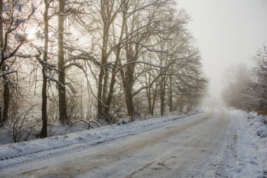 Öğleden sonra kış ormanı boyunca yol.