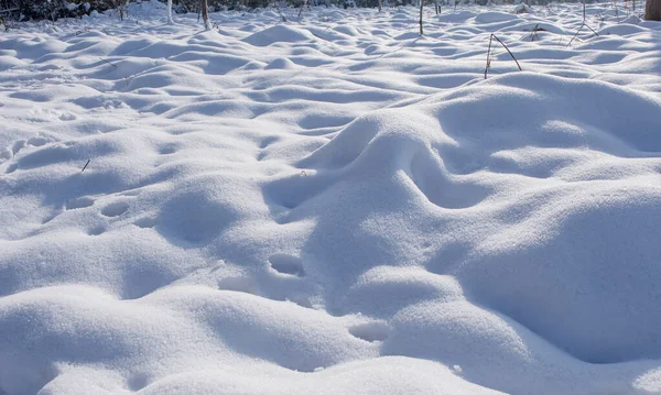 Snowdrift Sunny Day Winter — Stock Photo, Image