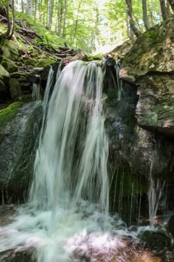Yazın bir derede güzel bir şelale.