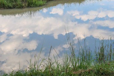 Gökyüzünün yansıması ve bulutlar küçük bir dağ gölünde, yaz zamanı