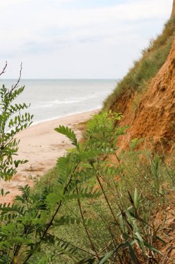Karadeniz manzarası ve akasya yaprakları arasında kil bir uçurum, Ukrain