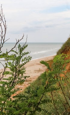 Karadeniz manzarası ve akasya yaprakları arasında kil bir uçurum, Ukrain