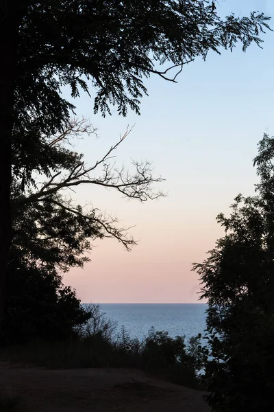 Вид Черное Море Вечернее Небо Через Море Ветви Деревьев Украина — стоковое фото
