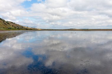 Gölde kuğular, gökte bulutlar, ayna yansıması.