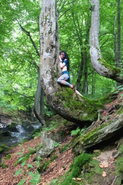 Esmer kadın kayın ağacı yakınlarındaki ormanda poz veriyor, Karpatya yaz ormanı, res