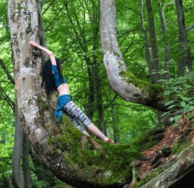 Esmer kadın kayın ağacı yakınlarındaki ormanda poz veriyor, Karpatya yaz ormanı, res