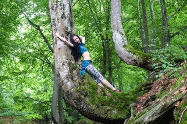 Esmer kadın kayın ağacı yakınlarındaki ormanda poz veriyor, Karpatya yaz ormanı, res