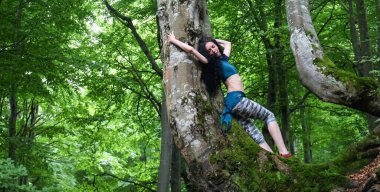 Esmer kadın kayın ağacı yakınlarındaki ormanda poz veriyor, Karpatya yaz ormanı, res