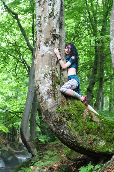 Donna Bruna Posa Nella Foresta Vicino Faggio Foresta Estiva Dei — Foto Stock