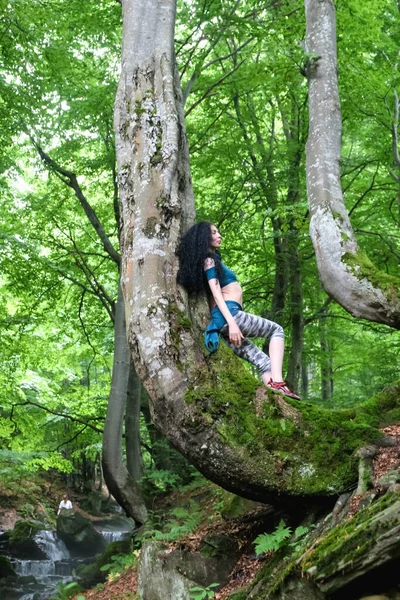 Бруннетка Кидає Лісі Біля Буку Карпатський Літній Ліс — стокове фото