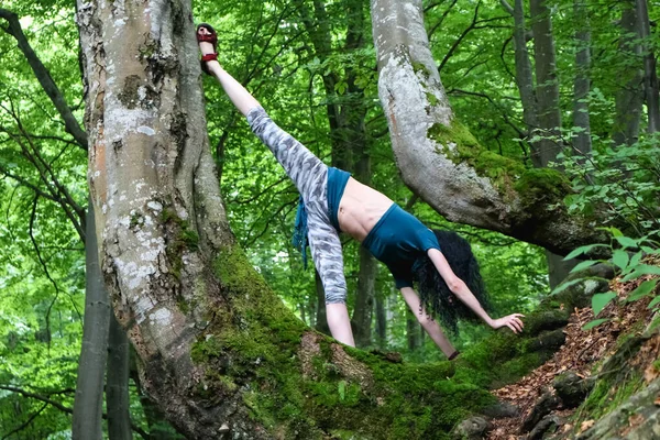 Donna Bruna Posa Nella Foresta Vicino Faggio Foresta Estiva Dei — Foto Stock