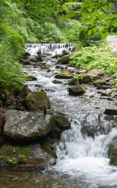 Karpatlar, Ukrayna 'daki dağ deresi, bulanık su akışı, şelale, yaz tazelikleri