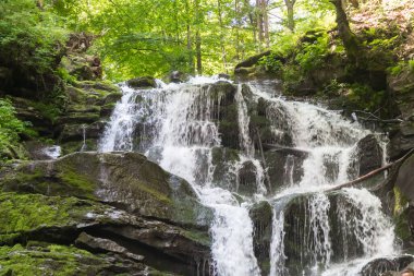Shypit Şelalesi, Ukrayna, Transcarpathia, yaz manzarası