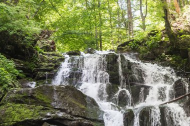 Shypit Şelalesi, Ukrayna, Transcarpathia, yaz manzarası